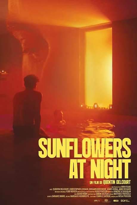 Sunflowers at Night